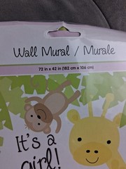 Baby Shower Decorations Girl 48 Plates 100 Napkins 2 Banners Wall Mural