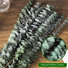 30 Pcs Dried Eucalyptus Stems for Shower, 17» Natural Real Preserved Green