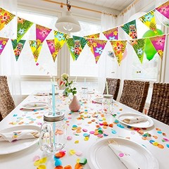 Hawaiian Luau Bunting 2 Pack, Tropical Banner 6m, Beach Decor