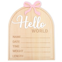 Wooden Hello World Baby Birth Announcement Sign Coquette Hello World Sign