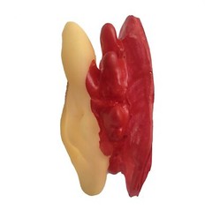 5pc Bloody Body Part Fake HUMAN SEVERED EARS Zombie Hunter Halloween Horror Prop