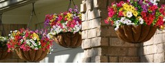 5.74 FT Artificial Poppies Flower Garland, Floral Garland Greenery Vines with