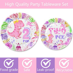 211 Pcs Dinosaur 2Nd Birthday Party Supplies, Girl Dino Two Rex Birthday Decorat