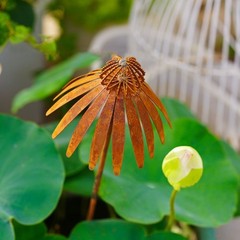 Bronze Rusted Echinacea Garden Stake Metal Art for Lawn and Flower Beds