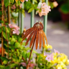 Bronze Rusted Echinacea Garden Stake Metal Art for Lawn and Flower Beds