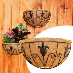 Trendy Iron Wall Mounted Pot for Small Space Greenery and For Stylish Decor