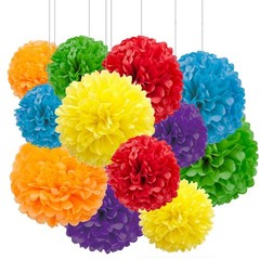 12pcs Rainbow Hanging Pom Poms, Tissue Paper Flower Decorations for Party