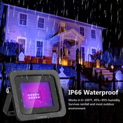 Halloween Party Black Light 395nm