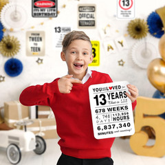 13Th Birthday Party Decorations – 9PCS Wall Signs Funny Tags for Teenagers 13 Ye