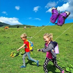 Purple Charming 4 Pack Butterfly Party Balloons, 28 Inches Girls Fairy Wings …