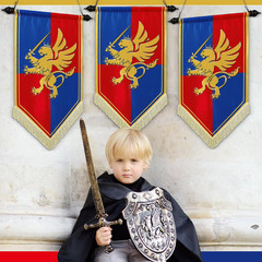 28 Inch Halloween Medieval Fantasy Pull-Down Banner with Lion Design Hanging Par