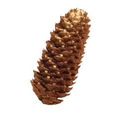 Golden Spruce Pine Cone Approx. 11Cm Real Natural Product Decoration Christmas