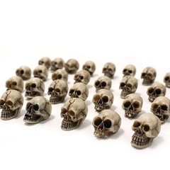 20pcs Mini Skulls Decor Skeleton Head Crafts Mini Skulls Set Garden Decor