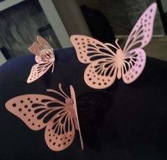 3D Butterflies Cutouts For Parties, Decorations For Weddings, Cakes, Walls, Yard