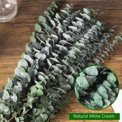 16 Pcs Dried Eucalyptus Stems, 17» Natural Fresh 15-17 inches, Green