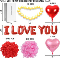 Will You Be My Girlfriend Lighted Letters Sign 21pcs Luminary Paper Bags 2200pcs