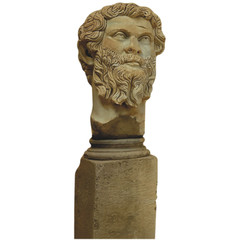 H13200 Emperor Septimius Severus Head Bust Roman Statue Cardboard Cutout Standee