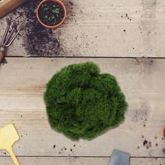 1 Pack Durable Artificial Moss for Crafts Green Decorative Moss for Terrariums