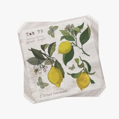 LEMON BOTANY Cocktail Paper Napkins 20pcs Decorative Napkins for Decoupage