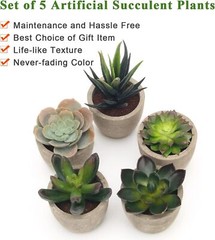 Coitak Artificial Succulent Plants Potted, Assorted Decorative Faux Green