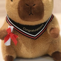Graduation Capybara Plush Toy Soft Stuffed Animal Congrats Grad Gift