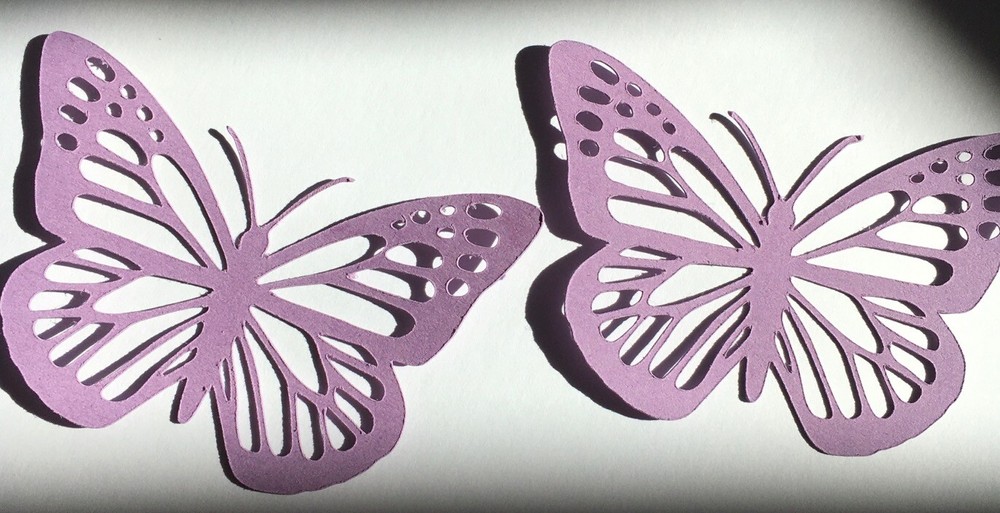 3D Butterflies 14x10cm Paper Card Party Decorations Birthday blue purple red