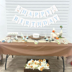 One Silly Goose Happy Birthday Banner – Blue One Silly Goose 1St Birthday Decora
