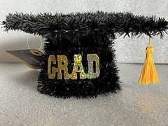 Tinsel and Plastic 5” Graduation Cap 3D Decoration Hanging Or Tabletop New