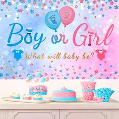 Gender Reveal Balloon Boxes Pink Blue Arch Decor