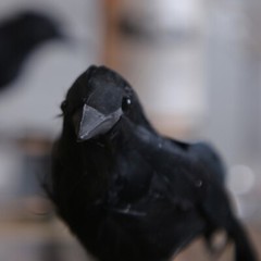Halloween Decoration Scary Fake Crow Garden Home Party Accessory