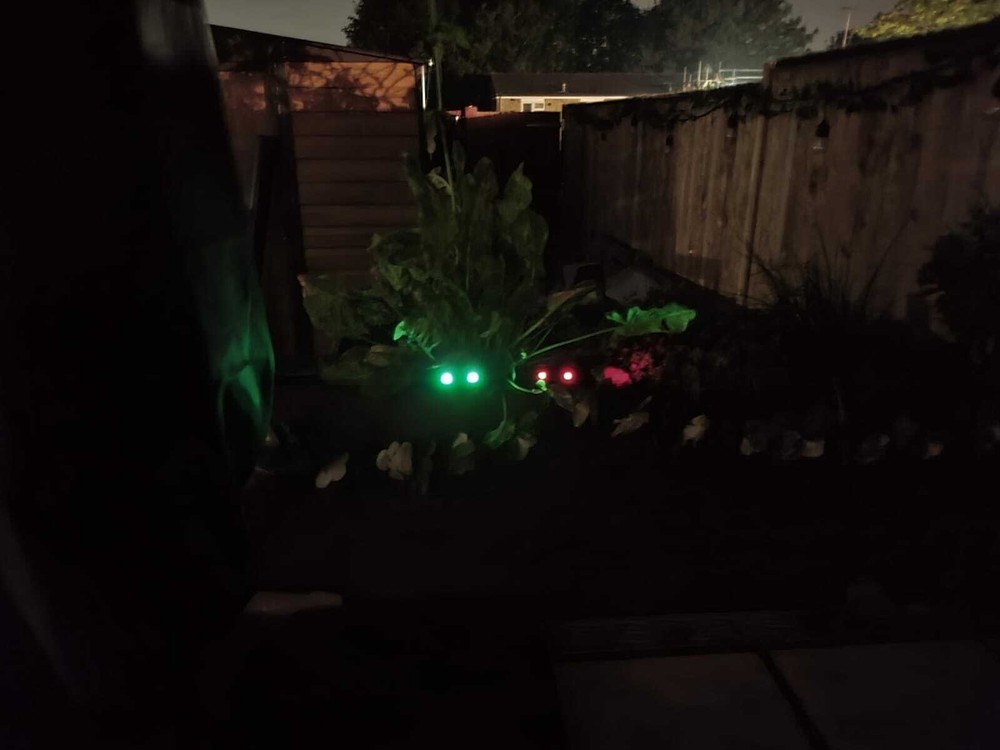 Halloween monster glow in the dark scary beast eyes decoration