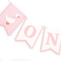 One Silly Goose First High Chair Banner – Pink Gingham One Silly Goose 1St Birth
