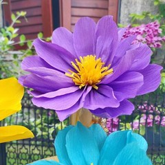 12inch -7inch Rainbow Paper Flower for Wall Carnival Rainbow Spring Flower Th…
