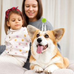 Mini Glitter Birthday Party Hats – 10 Pcs Multicolor Cone Hats for Kids & Pets
