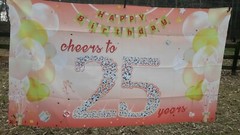 Cheers To 25 Years 25th Birthday Banner Photo Backdrop rosegold 5 ft x 3 ft