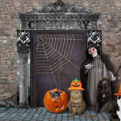 3 Pcs Halloween Cemetery Archway Halloween Cemetery Banners Gothic Outdoor Ba…