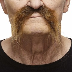 Realistic Self-Adhesive Fu Manchu Mustache – Novelty Costume Accessory