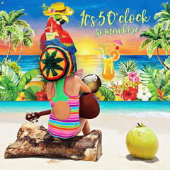 It’S 5 O’ Clock Somewhere Summer Backdrop Tropical Parrot Banner Beach Hawaii De