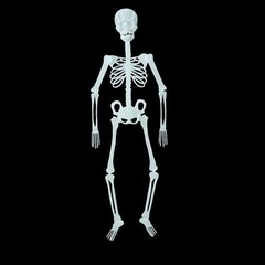 Halloween Luminous Human Skeleton Poseable Full Life Size Decoration Party Prop