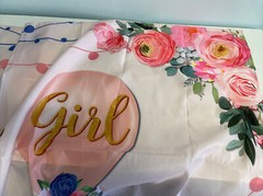 What will Baby Be Gender Reveal Fabric Backdrop Grommets NEW 70×43 inches