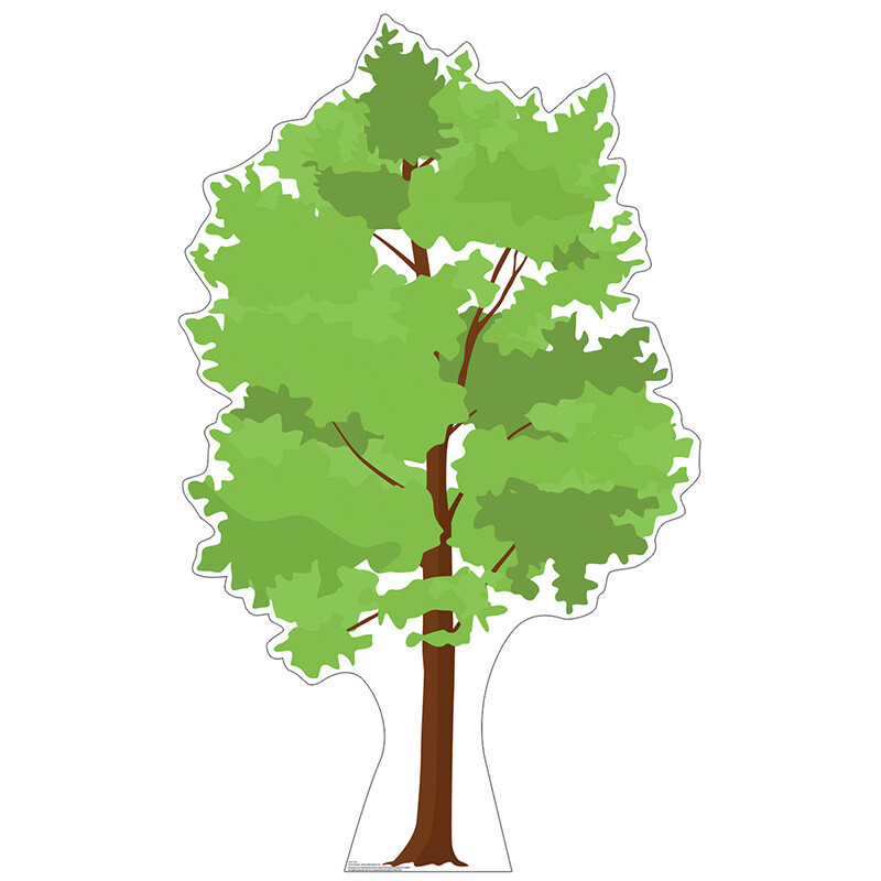 TREE 6 Feet Tall CARDBOARD CUTOUT Standup Standee Poster Nature Prop FREE SHIP