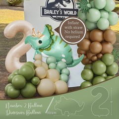 Two Rex Birthday Decorations for Boy, Dinosaur 2nd Birthday Party Supplies,