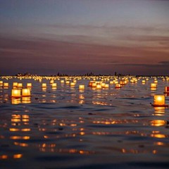 Water Floating Candle Lanterns Outdoor Lanterns for Praying Set of 20 (Gold)