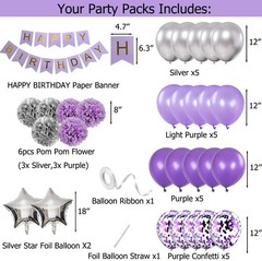 Birthday Decorations for Girls Purple and Silver Lavender Party Decor Kit