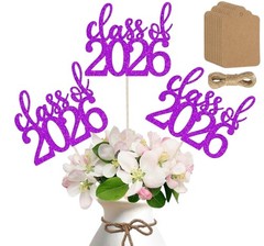 12 Pack Double Sided Graduation Centerpiece Sticks, Blank Kraft Tags & Twine – C