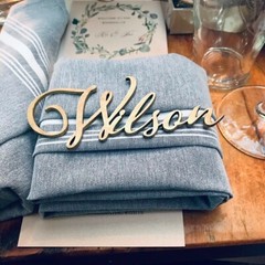 Personalized Wedding Place Cards Acrylic Table Name Calligraphy Wedding Any Font