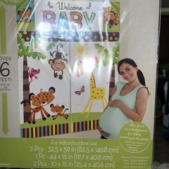 FISHER PRICE BABY SHOWER WALL DECORATING KIT 5pc Welcome Party Supplies Safari