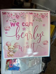 Bear Gender Reveal Balloon Boxes Decorations – 1ooPcs Pink Blue Balloons + MORE