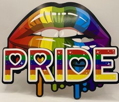 Pride Month Rainbow Banner Decorations Pack – LGBTQ+ Cardboard Signs DIY Kit