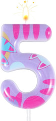 Cat Themed Birthday Number Candle, Cartoon Birthday Decorations Kitty Cat Numera